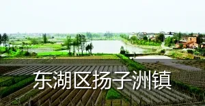 东湖区扬子洲镇